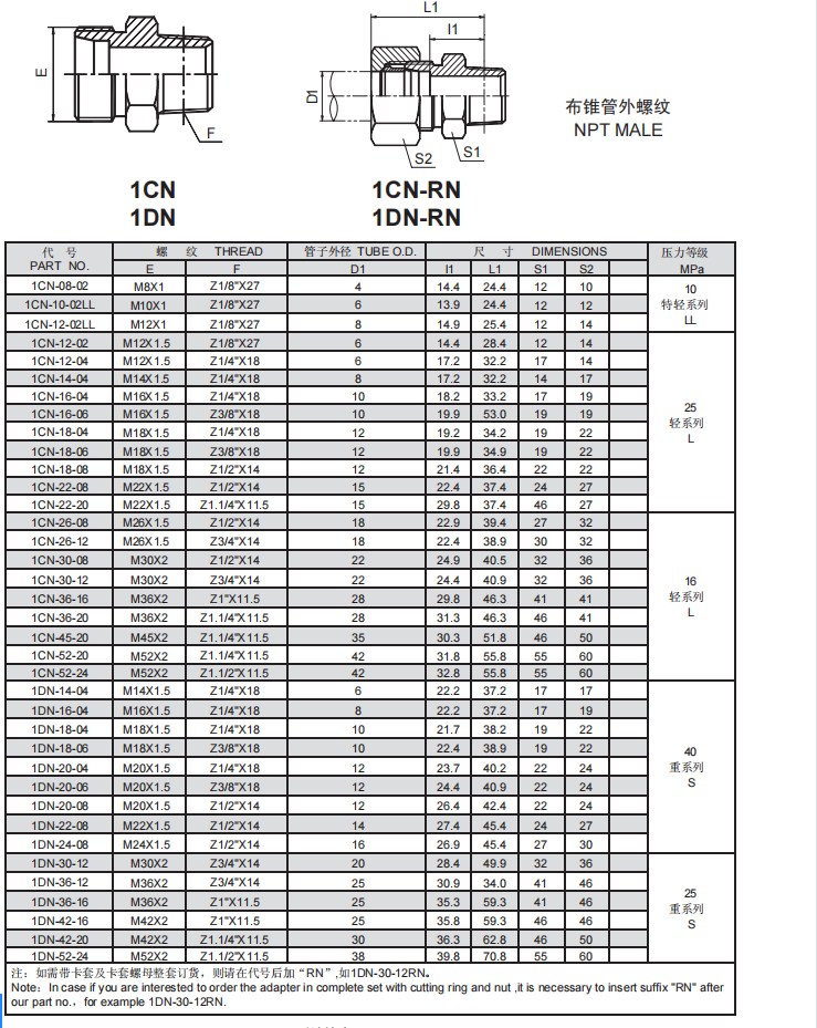 3、1CN.1DN.png